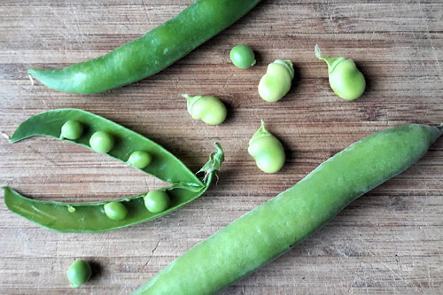 Fèves et petits pois